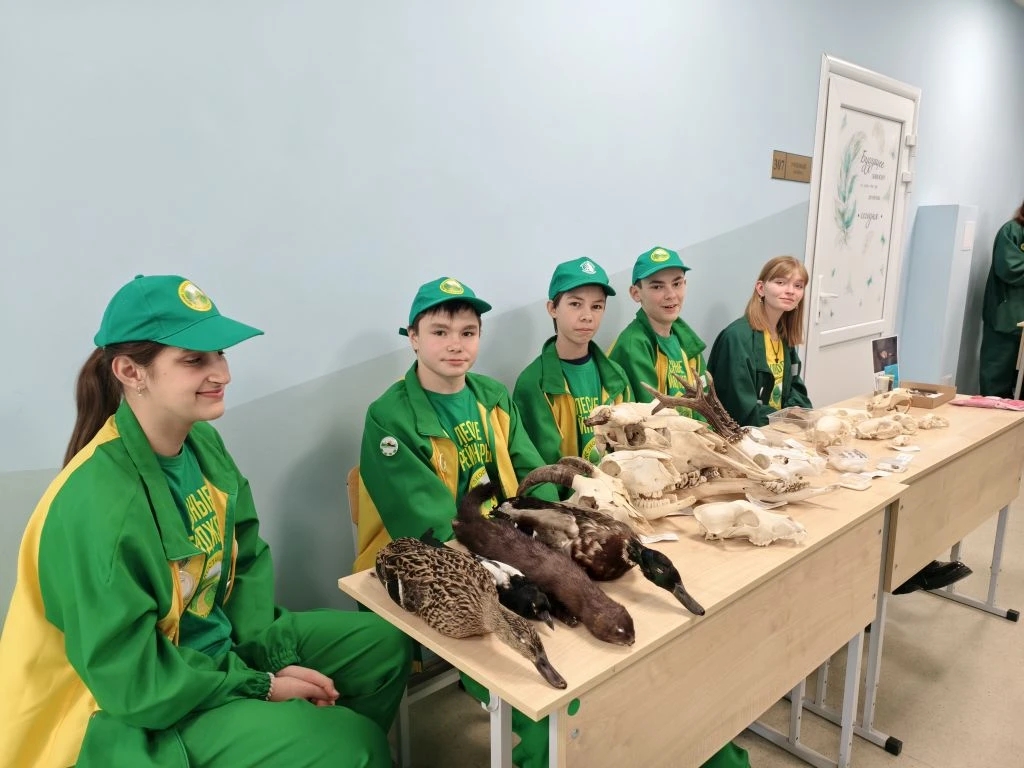 День экологии в нашей школе.
